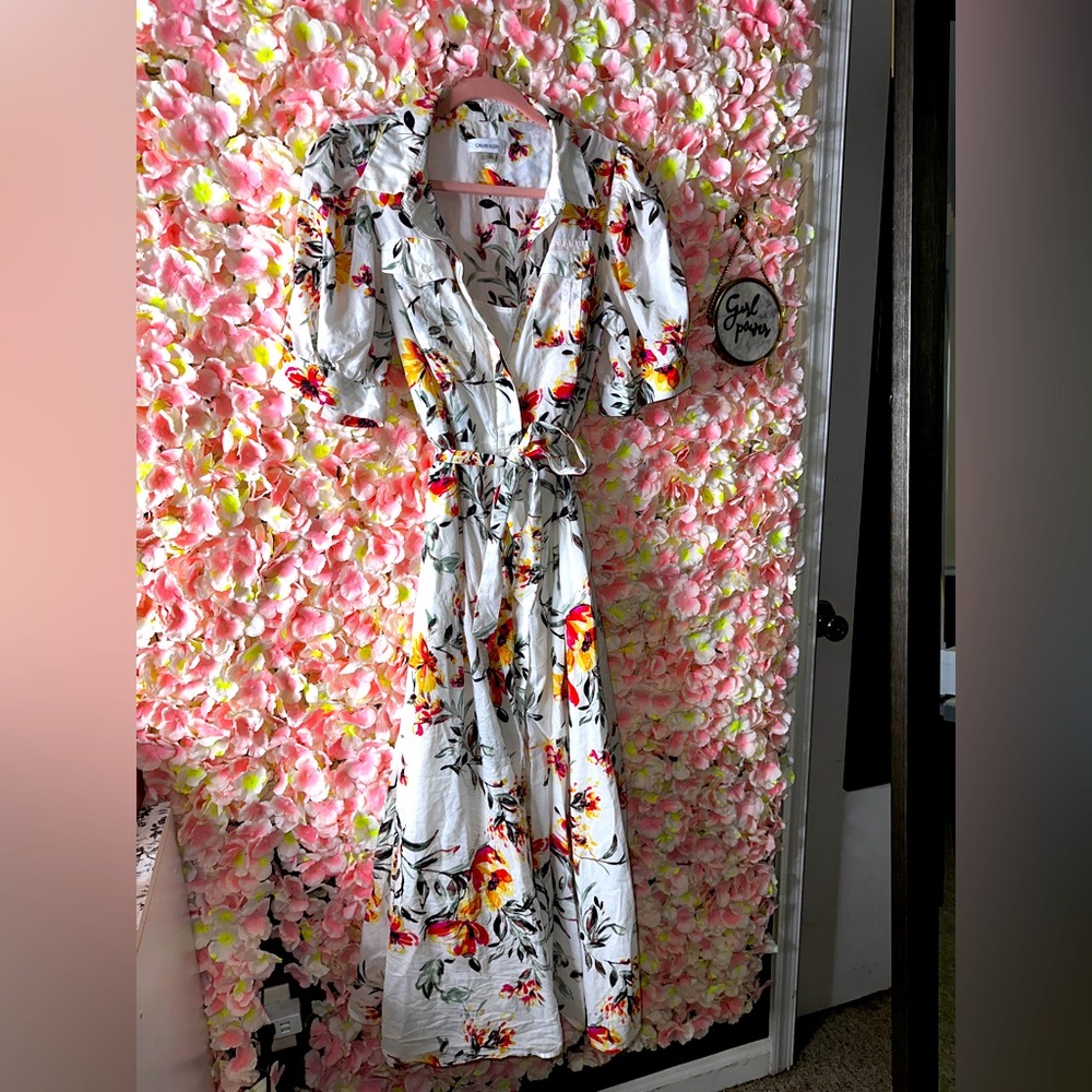 Calvin Klein Design Dress